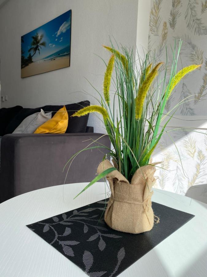 Sunshine Apartment Torrevieja Esterno foto