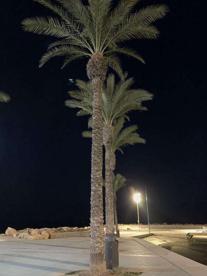 Sunshine Apartment Torrevieja Esterno foto