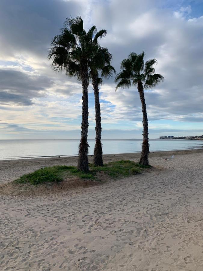 Sunshine Apartment Torrevieja Esterno foto